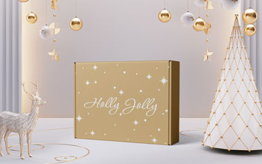 Gift Box with Christmas Decorations