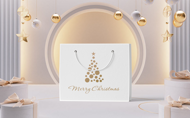 Paper Bag with Christmas Decorations