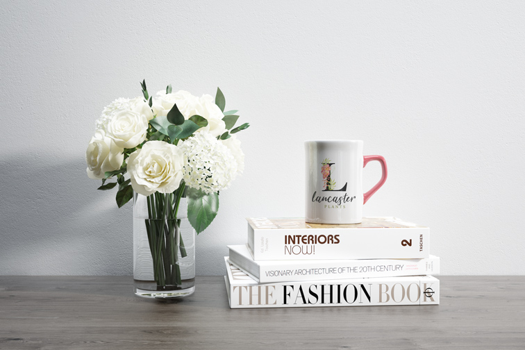 Flowers and a Square Mug on Books