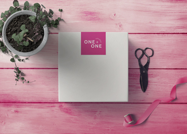 A Package With Scissors and a Plant