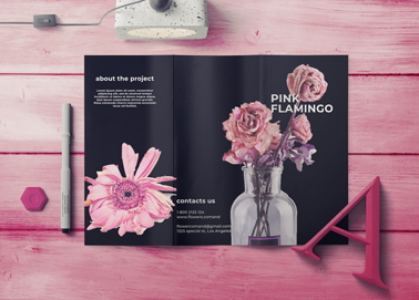 An Open Brochure With Stationery