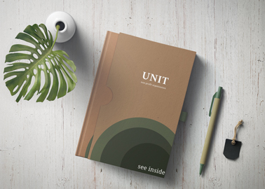 Carton Box With a Plant