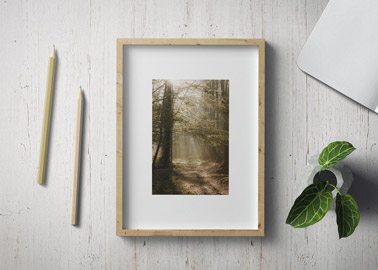 Picture Frame with Pencils 