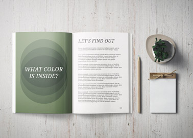 Open Book With a Notebook and a Plant