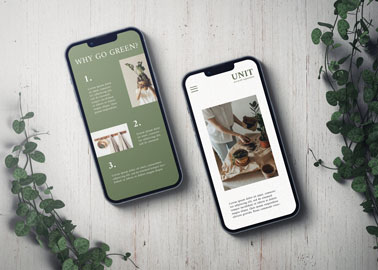 Two iPhones With Plants on a White Table