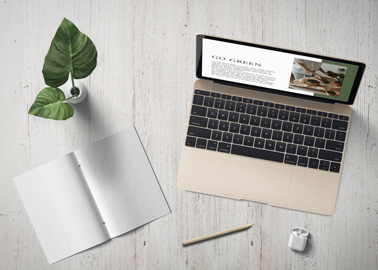 MacBook With a Notebook and a Plant