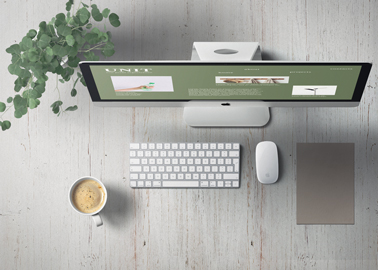 iMac With a Plant High Angle View