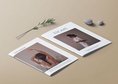 Deux couvertures de magazines sur une surface neutre