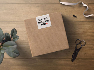 Carton Box With Scissors and a Plant