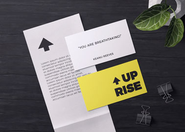 Brochure, Business Cards and Paper Pins