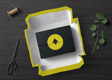 Delivery Package With Scissors and a Tree Branch