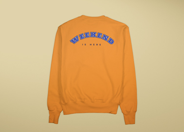 Sweatshirt With a Print Back View