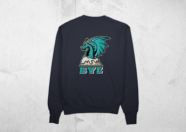 Sweatshirt With a Print at the Back 