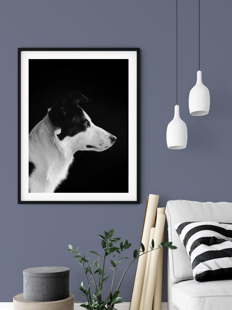 Hanging Frame and Minimalistic Interior