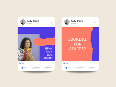 Facebook Posts Demonstration