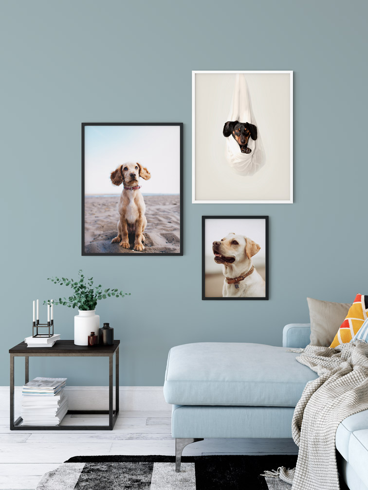 Three Frames Hanging on a Wall