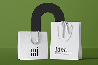 Duas Embalagens de Papel Ecológico com Alças de Tecido