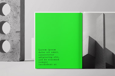 Open Book on a Neutral Background