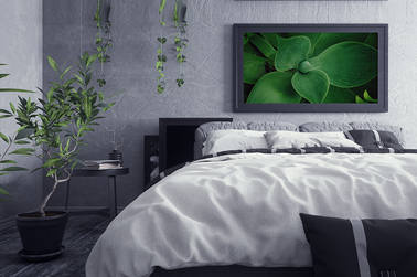 Modern Bedroom Design With Plants