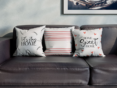 Pillows on a Leather Sofa