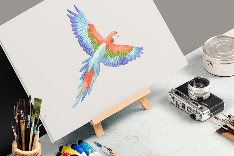 Drawing Canvas Next to Art Equipment