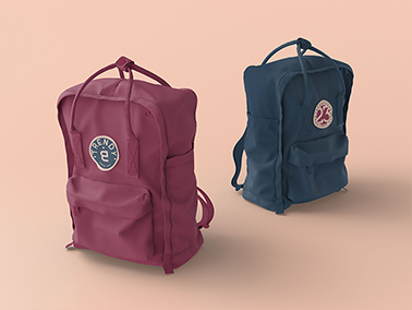 Trendy Backpacks High Angle View