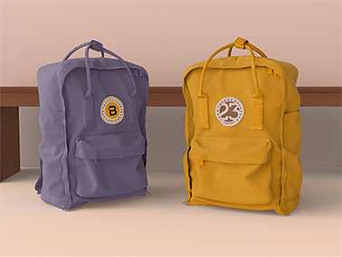 Two Backpack in Natural Light