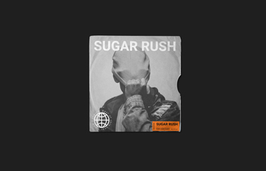 Vinyl Cover Front View