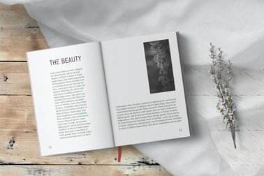 Open Book High Angle View