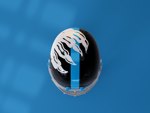 Helmet High Angle View