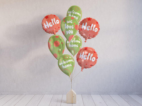 Balloons Attached to a Bird House