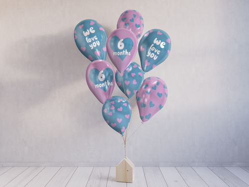 Balloon Bouquet With a Bird House