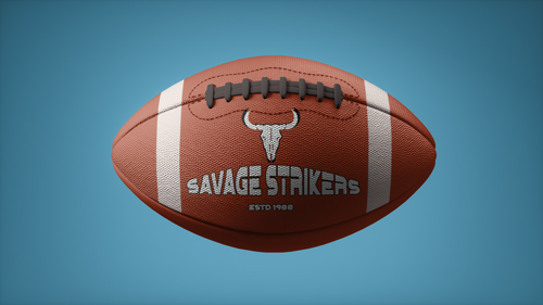 Rugby Ball Zoom-in View