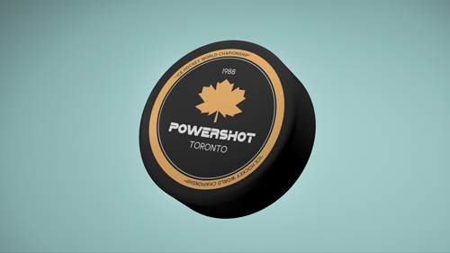 Hockey Puck Tilted view