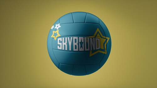 Volleyball Closeup View