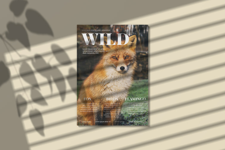 A4 Size Magazine Front Cover