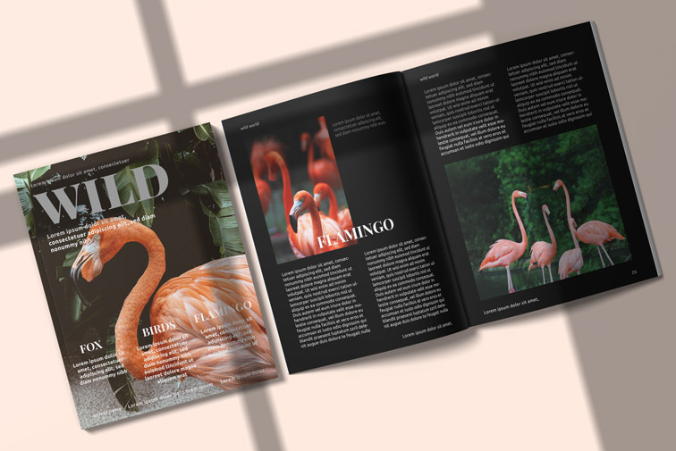 US Letter Size Magazines