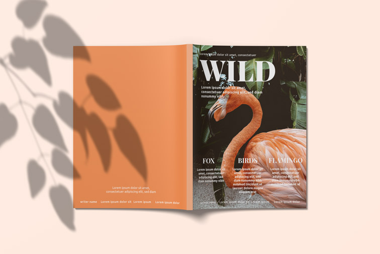 US Letter Size Magazine Spread Outside