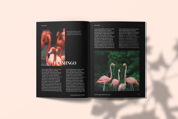 US Letter Size Magazine Spread Inside