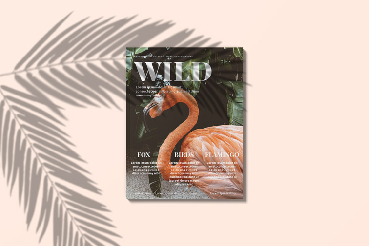 US Letter Size Magazine Front Cover