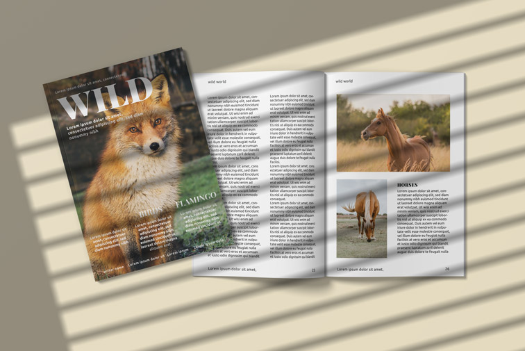 Open and Closed A4 Size Magazines