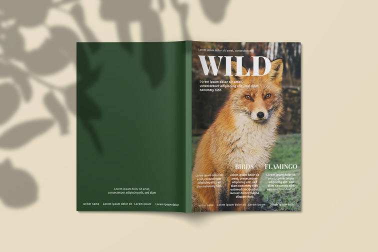 A4 Size Magazine Spread Outside