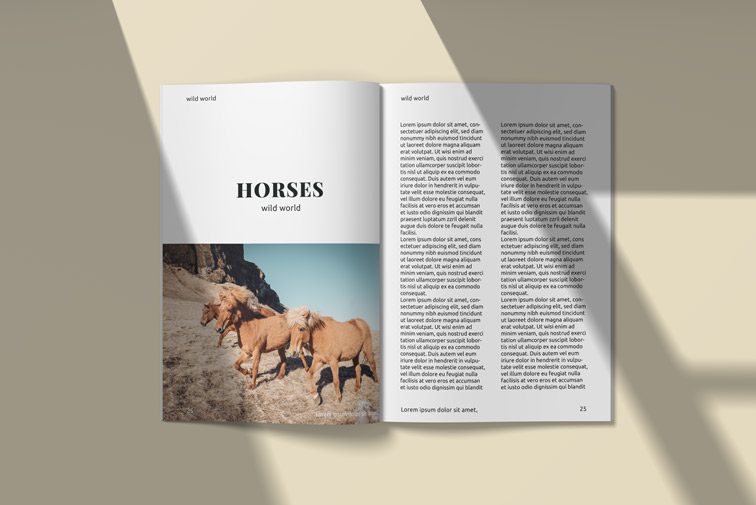 A4 Size Magazine Spread Inside