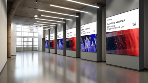 Geological Wonders Displays