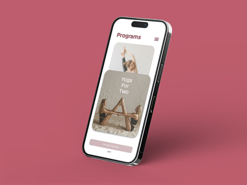 iPhone Presenting an Application