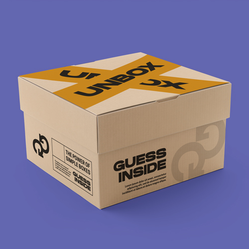 Closed Packaging Box Angle View