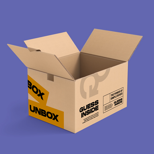 Open Cardboard Box Angle View