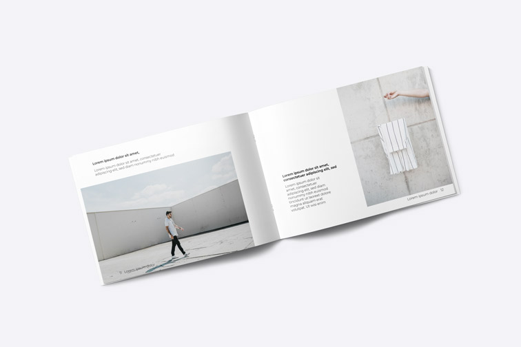 Open Catalog on a White Background