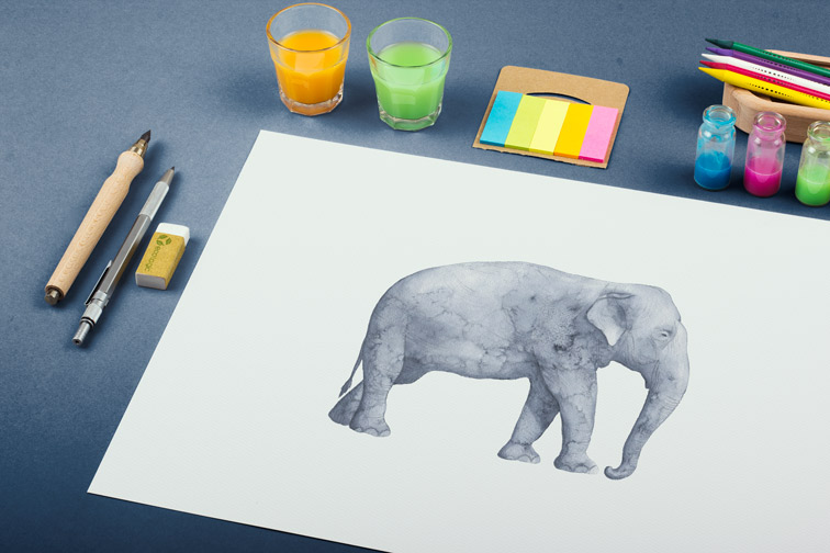 Yaratıcı Sanat Ortamı