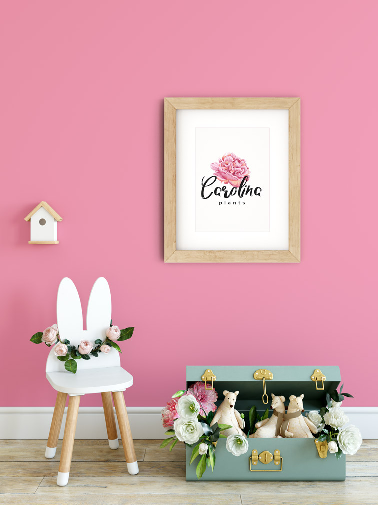 Flowered Chair and Suitcase